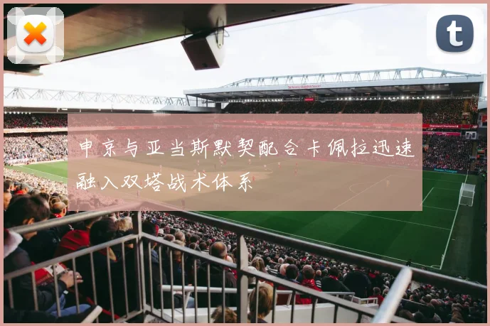 申京与亚当斯默契配合卡佩拉迅速融入双塔战术体系