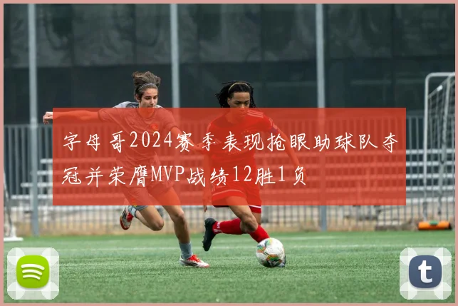 字母哥2024赛季表现抢眼助球队夺冠并荣膺MVP战绩12胜1负